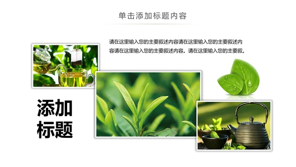 绿茶产品介绍茶叶茶文化春茶紫砂壶PPT