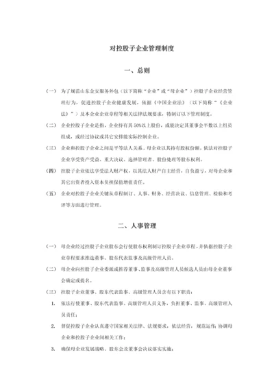 对控股子公司管理新规制度.docx