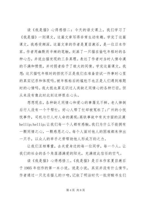 读《我是猫》心得感悟3篇.docx