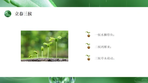 雨水绿色露水背景通用PPT模板