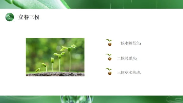 雨水绿色露水背景通用PPT模板
