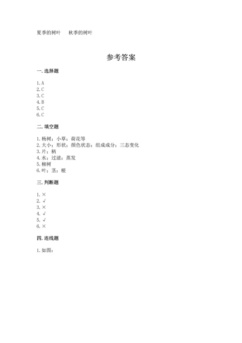 教科版科学一年级上册第一单元《植物》测试卷含答案【模拟题】.docx