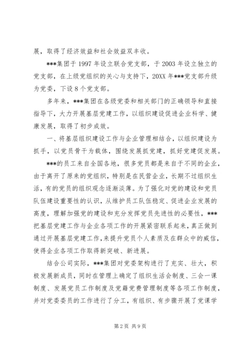 某集团公司党建工作纪实.docx