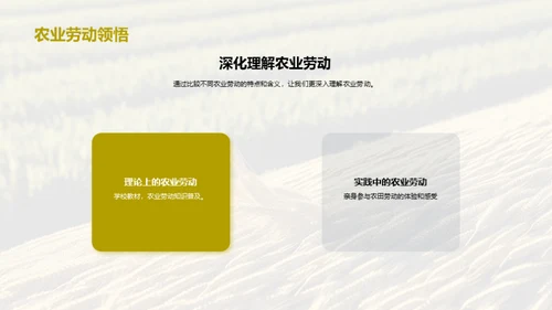农业劳动之美