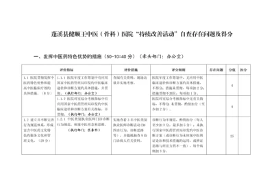 持续改进自查评分实施标准细则.docx