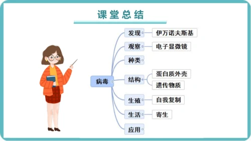 人教版生物七年级上册2.3.4《病毒》课件(共19张PPT)+视频素材