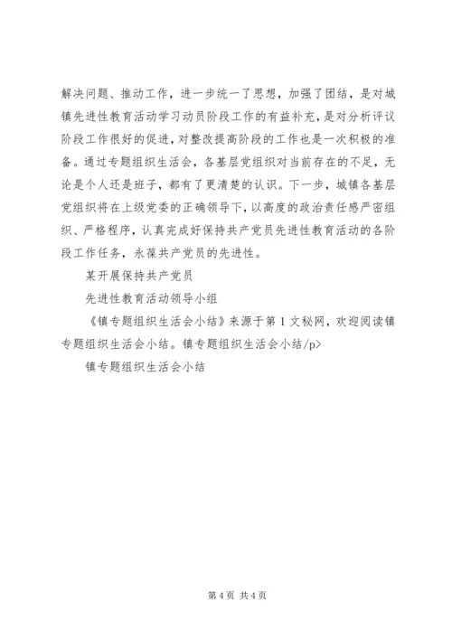 镇专题组织生活会小结.docx