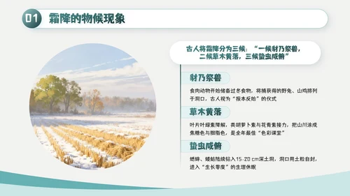 绿色简约风霜降主题班会PPT模板