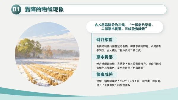 绿色简约风霜降主题班会PPT模板