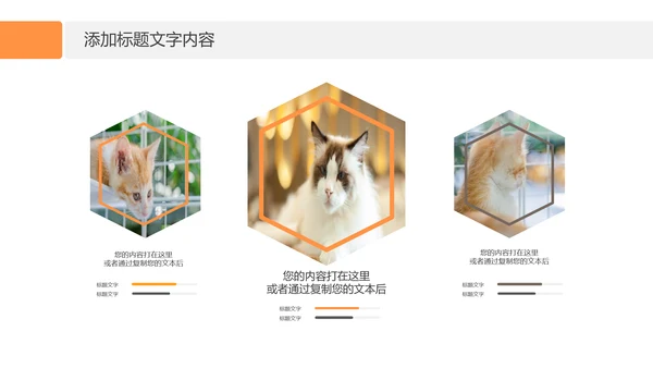 简约风宠物店商业计划书爱宠猫咪PPT模板
