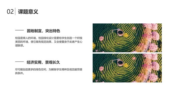 简约风大学生小组作业成果展示