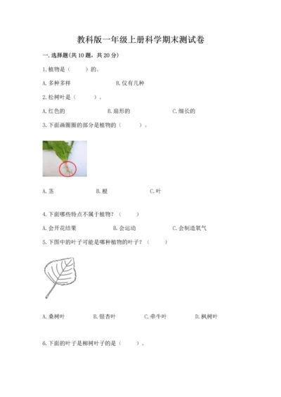 教科版一年级上册科学期末测试卷含完整答案【网校专用】.docx
