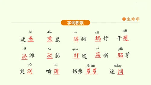 第1课 祖国啊，我亲爱的祖国 课件(共47张PPT)-【课堂无忧】新课标同步核心素养课堂