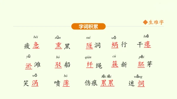 第1课 祖国啊，我亲爱的祖国 课件(共47张PPT)-【课堂无忧】新课标同步核心素养课堂