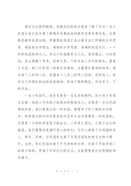 小学教师挂职锻炼个人工作总结锦集范文3篇.docx