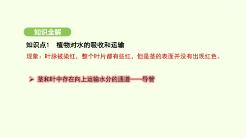 第三单元-第二章-第一节-水的利用与散失课件-2024-2025学年七年级生物下学期人教版(2024