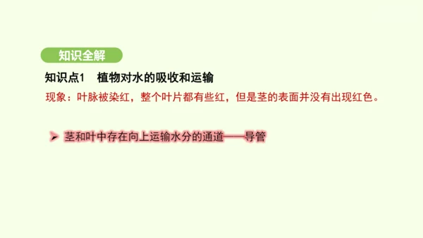 第三单元-第二章-第一节-水的利用与散失课件-2024-2025学年七年级生物下学期人教版(2024