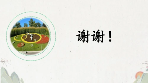 13《花钟》（课件）