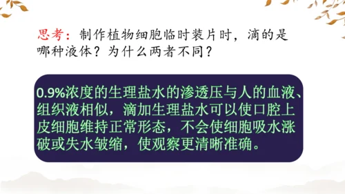 人教版（2024）七年级上册1.2.3动物细胞 课件(共27张PPT)
