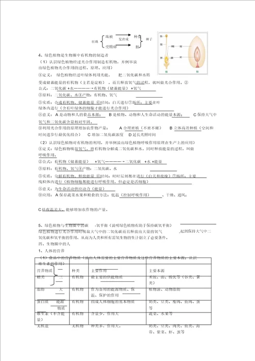 中考生物知识点总结计划