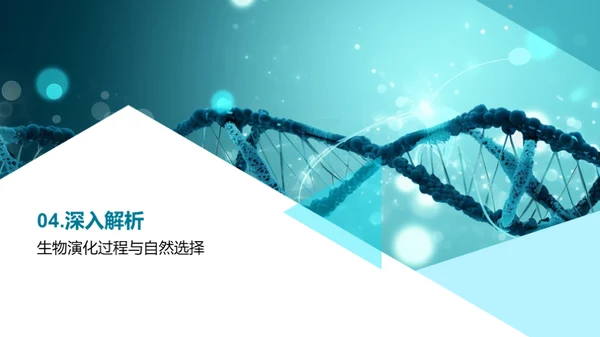 探索生物演化之谜