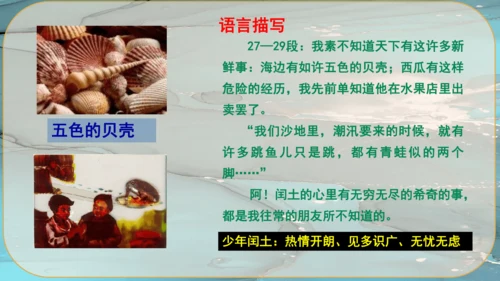 15《故乡》课件