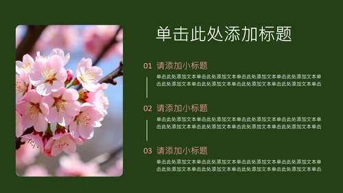 粉绿色简约几何樱花介绍