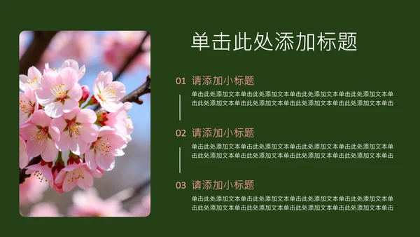 粉绿色简约几何樱花介绍