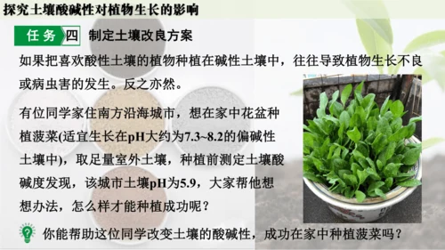 跨学科实践活动9  探究土壤酸碱性对植物生长的影响课件(共33张PPT)