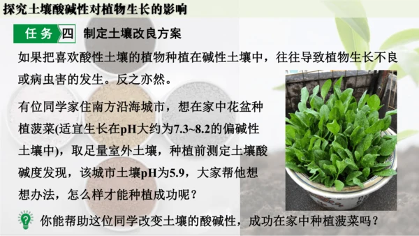 跨学科实践活动9  探究土壤酸碱性对植物生长的影响课件(共33张PPT)