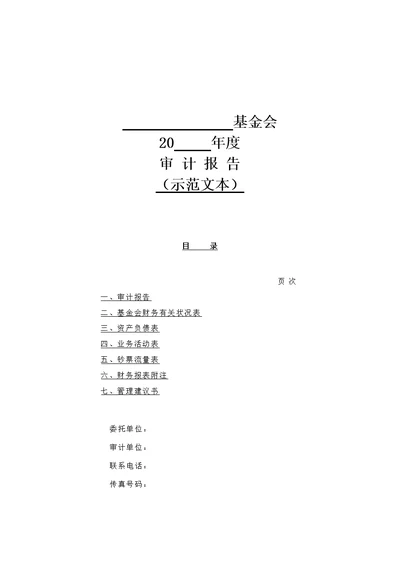 基金会年度审计报告示范文本样本