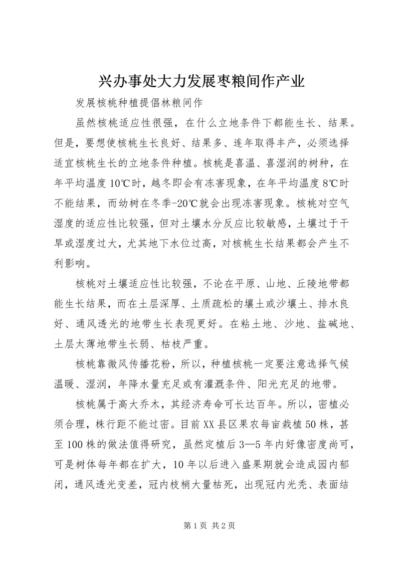 兴办事处大力发展枣粮间作产业 (3).docx