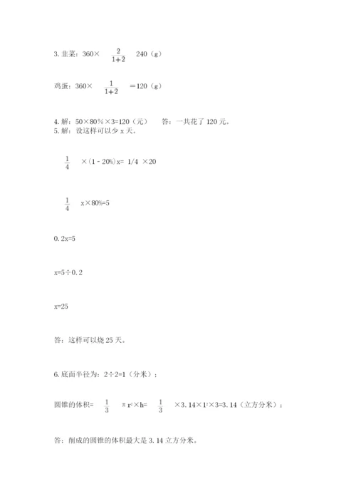 人教版六年级数学小升初试卷及答案（典优）.docx