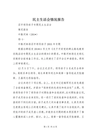 民主生活会情况报告 (2).docx