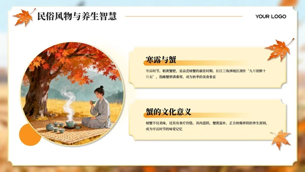 橙黄色寒露主题教育宣传PPT模板