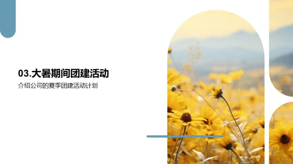 大暑团建盛典
