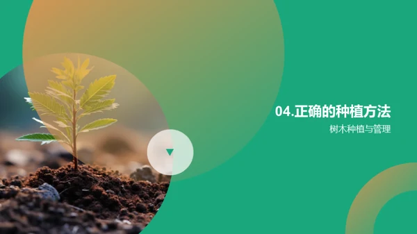 绿化生活，植树先行