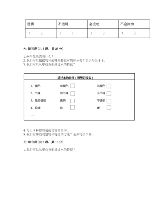 教科版小学科学一年级下册期末测试卷及参考答案（轻巧夺冠）.docx
