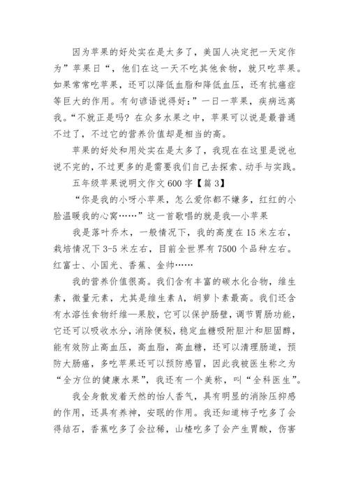 五年级苹果说明文作文600字(精选5篇).docx