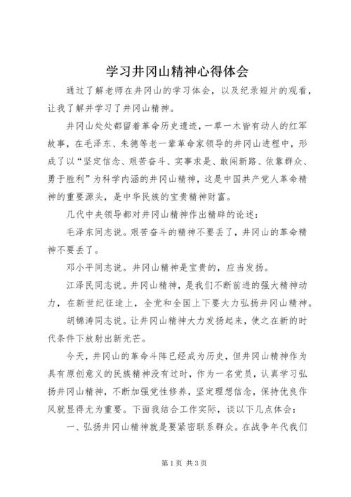 学习井冈山精神心得体会 (11).docx