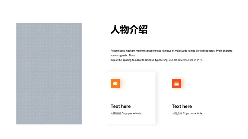 人物介绍-商务简约2项PPT