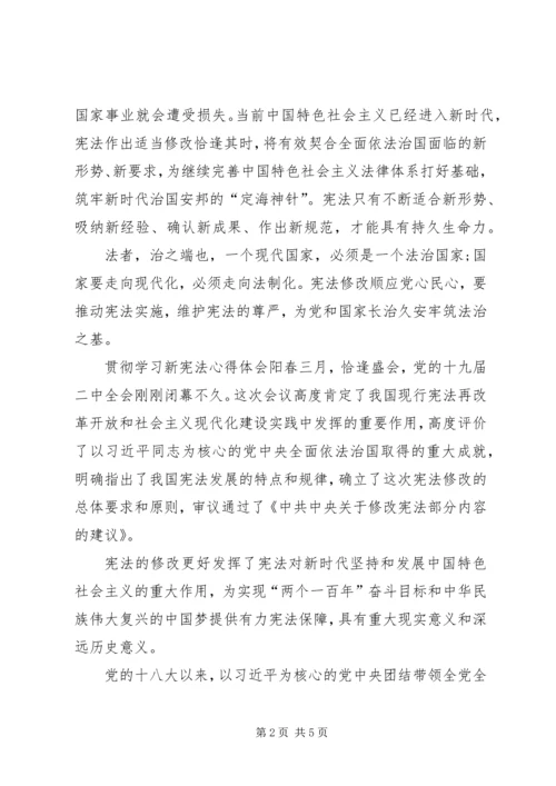 学习新宪法心得体会 (3).docx