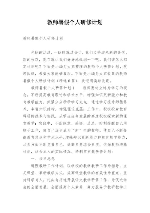 教师暑假个人研修计划.docx