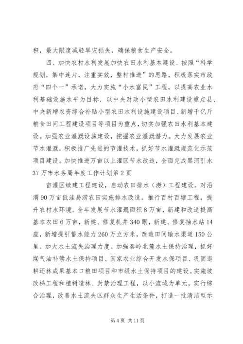 市水务局年度工作计划 (2).docx