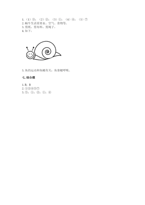教科版一年级下册科学期末测试卷精品（能力提升）.docx