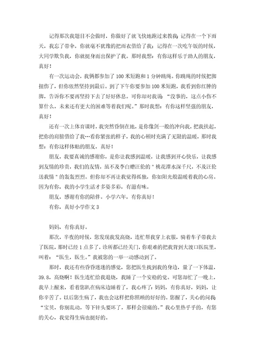 有你，真好小学作文