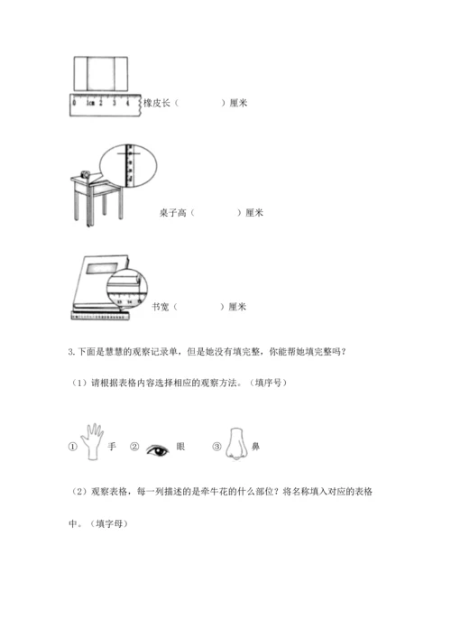 教科版科学一年级上册期末测试卷附完整答案（有一套）.docx