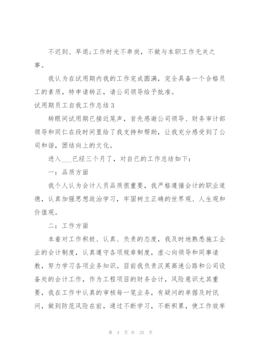 试用期员工自我工作总结.docx