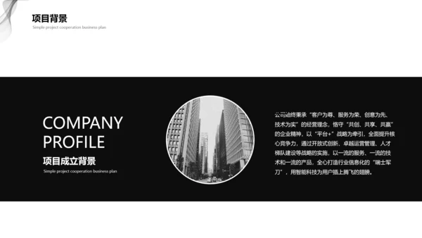 黑灰商业计划项目简介PPT模板