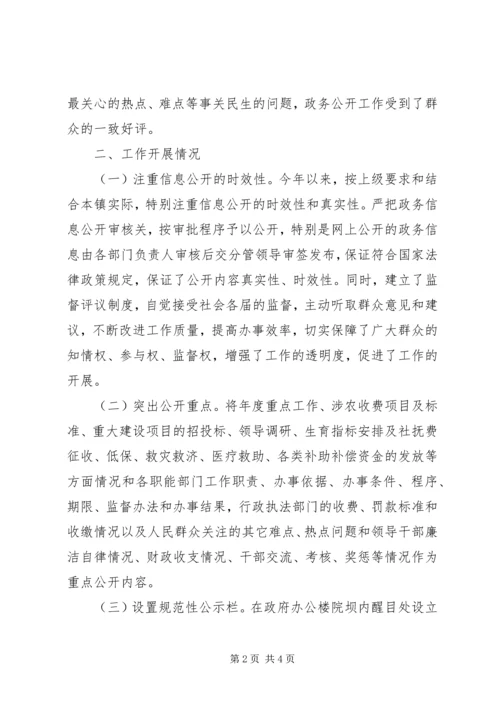 地方政务工作自查报告.docx
